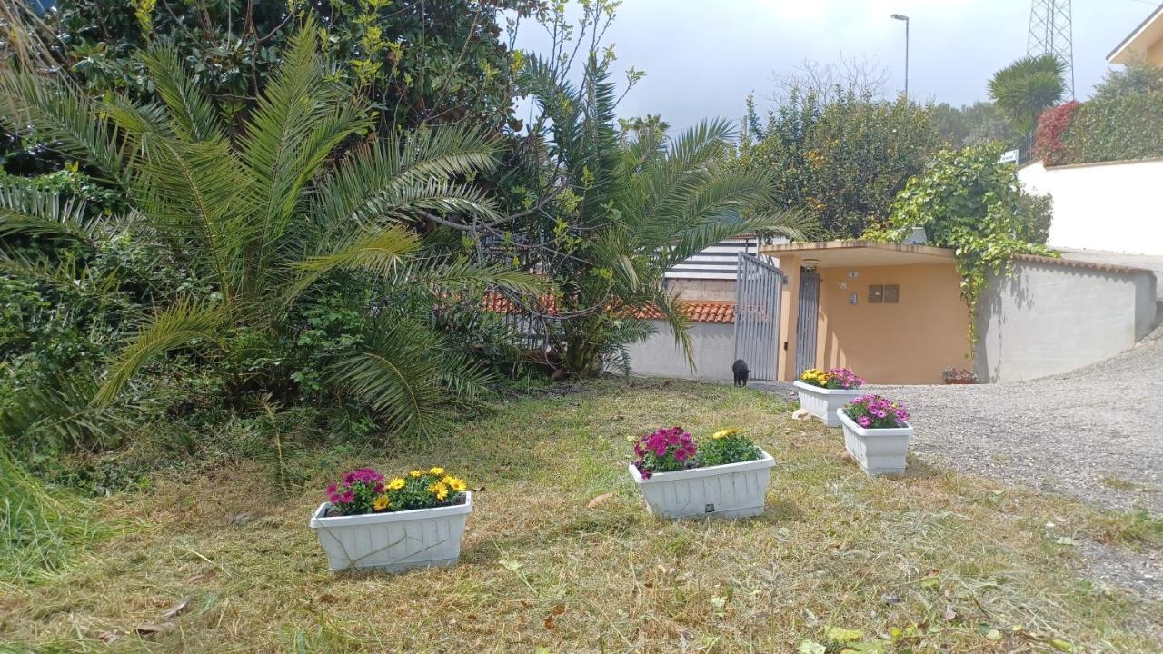 B&B Verena, Casa Ferrari コロンネッラ エクステリア 写真